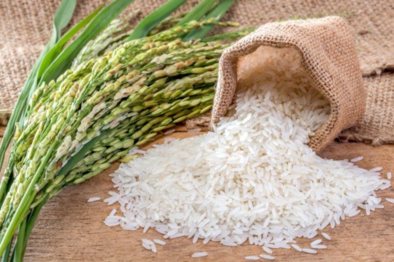 चावल की बेस्ट वैरायटी कौन-सी है, जानें किसमें होती क्या खासियत