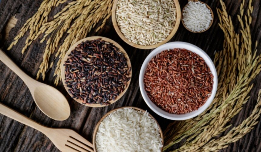 चावल की बेस्ट वैरायटी कौन-सी है, जानें किसमें होती है क्या खासियत