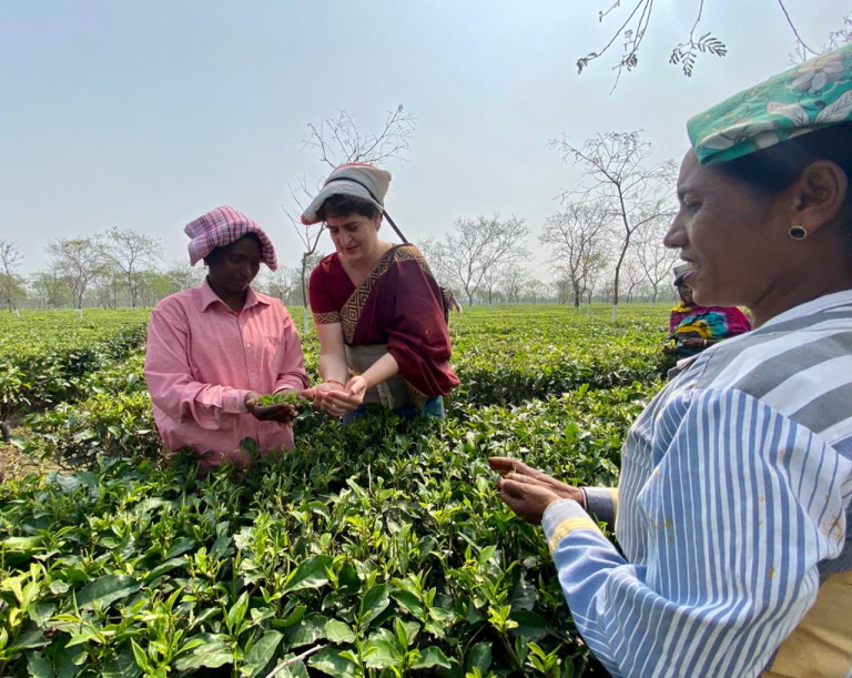 चाय बागान में मजदूरों के साथ दिखीं प्रियंका गांधी, कहा- श्रम देश के लिए बहुमूल्य है