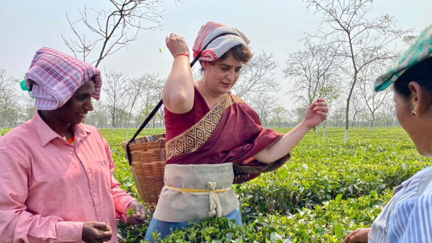 चाय बागान में मजदूरों के साथ दिखीं प्रियंका गांधी, कहा- देश के लिए बहुमूल्य है श्रम