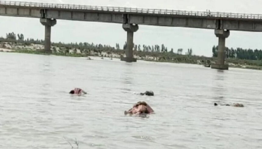 गंगा नदी में फिर तैरती मिलीं लाशें, जलस्तर बढ़ते ही ऊपर आए शव