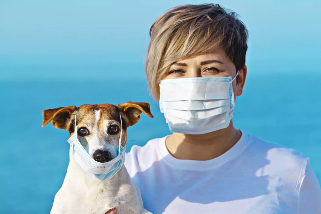 कुत्तों से फैलने वाले एक नए कोरोना वायरस का खुलासा, हो सकता है खतरनाक