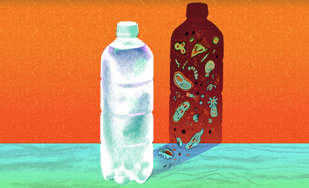 प्लास्टिक की बोतल में पानी पीने का मतलब है जहर पीना, नुकसान जान हो जाएंगे हैरान