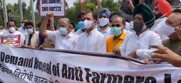 राहुल गांधी की अगुवाई में कृषि कानूनों के खिलाफ कांग्रेस सांसदों का प्रदर्शन