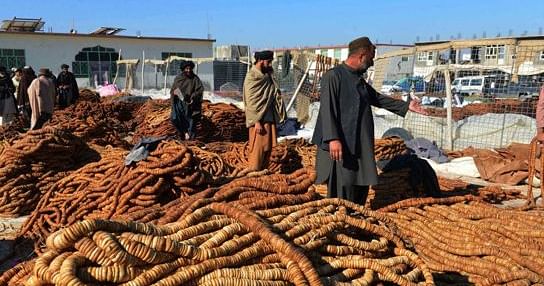 अफगानिस्तान-भारत के बीच व्यापार हुआ बंद, कुछ घरेलू सामान हो सकते हैं महंगे